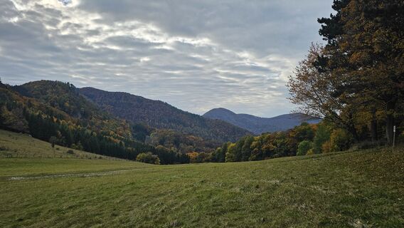 Photo from Alexandra Stani along the tour