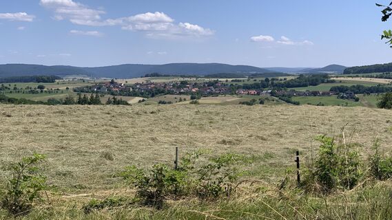 Fotografia z outdoor_rue na trase