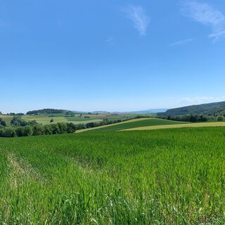bargen-landschaft-felder