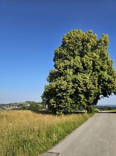Photo de Martina le long du parcours