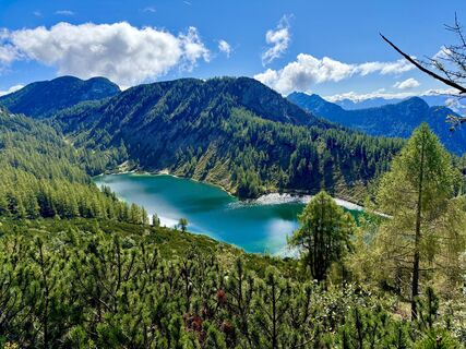 Fotografie de la Tina de-a lungul turului