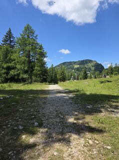 Foto von Walter Dienstl entlang der Tour