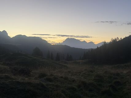 Fotografija s spletne strani Timwells na poti