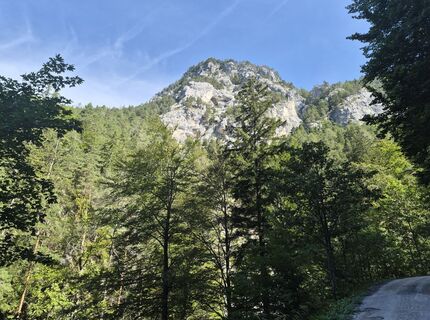 Fotografija s spletne strani Arnold Simbürger na poti