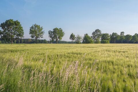 130_Grenzgängerroute_freie Strecke_Max Daerr_2018_teuto.jpg