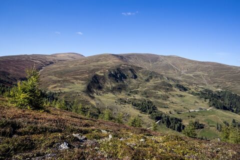 Lachtal