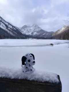 Fotografia z Edith K. na trase