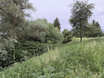 Fotografie z Schaali na trase