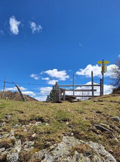 Photo de Dagmar Hofer le long du parcours