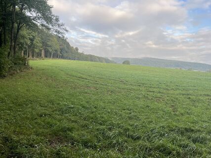 Foto fra Roman Embacher undervejs på turen