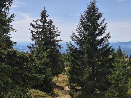 Fotografija s spletne strani Susann Herfurth na poti