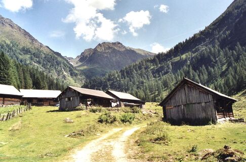 Tuchmoaralm