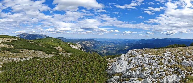 Fotografija s spletne strani Viktoria Ellinger na poti