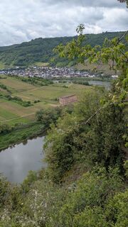 Foto von polo entlang der Tour