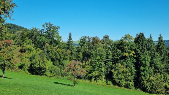 Photo from Oesibert along the tour