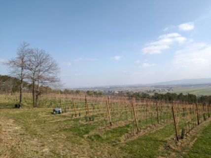 Foto de Bergpirat a lo largo del recorrido