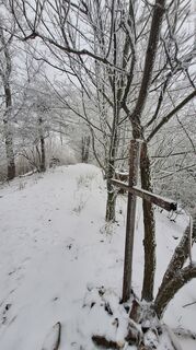 Foto de Regina Fleischmann a lo largo del recorrido