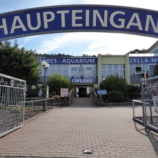 Eingangsbereich