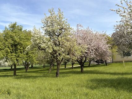 Foto de Nina Astleitner a lo largo del recorrido