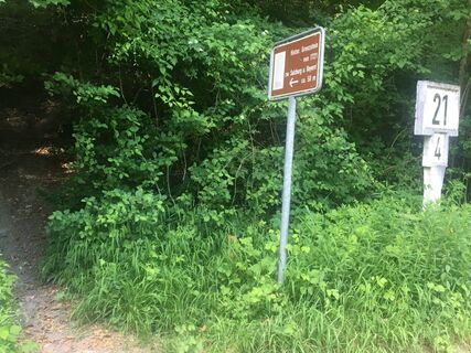 Zdjęcie z RoUlWoLe wzdłuż trasy