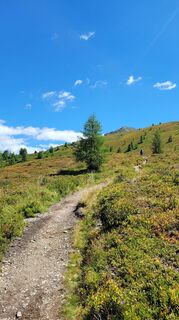 Photo de Juliane le long du parcours