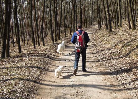 Panoramarunde LOIBNERBERG/Wachau