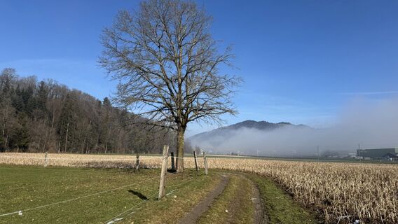 Foto von peter_oe entlang der Tour