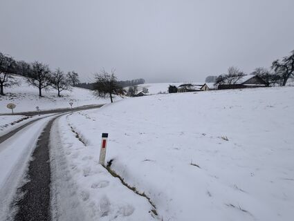 Photo de Stefan Bock le long du parcours
