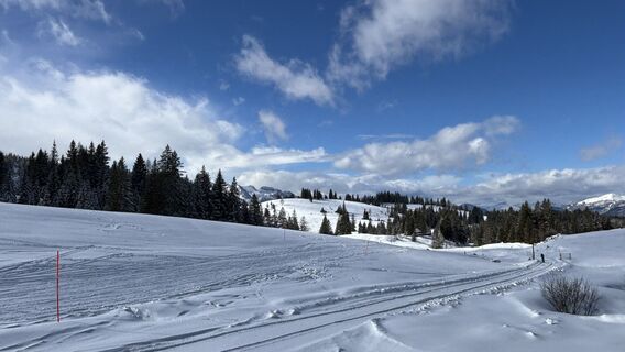 Foto von Daniela Willberg entlang der Tour