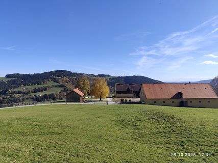 Foto från Barbara Galle under resans gång