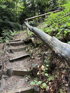 Kuva osoitteesta Reinhard Frewein matkan varrella