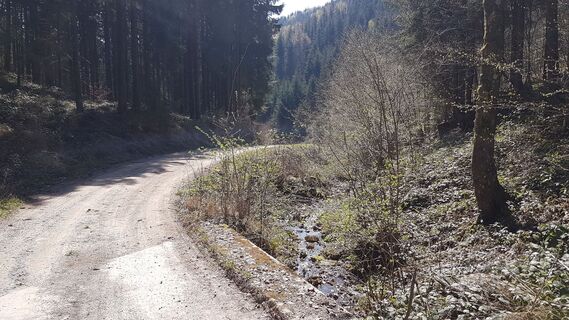 9.2 km Moosbach