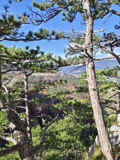Фото с сайта Heinz Weber in во время экскурсии