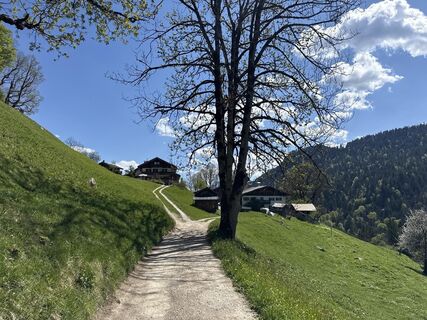 Zdjęcie z Similaun wzdłuż trasy