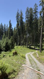 Photo de Peter Burki le long du parcours