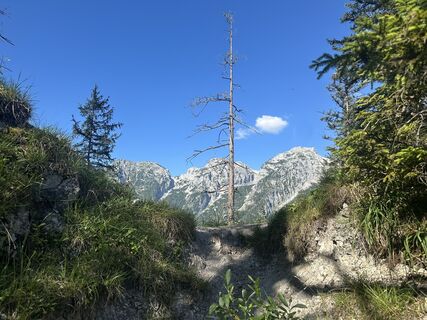 Fotografija s spletne strani Martin na poti