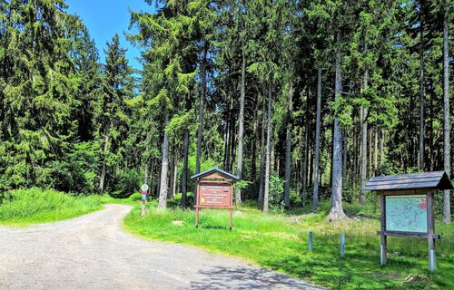 Vom Auerhahn Richtung Langebachtal