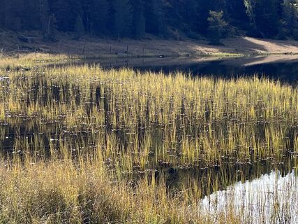 Photo de Peter Schmerda le long du parcours