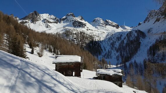 Oberarnalm