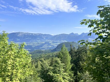 Foto von Flink entlang der Tour