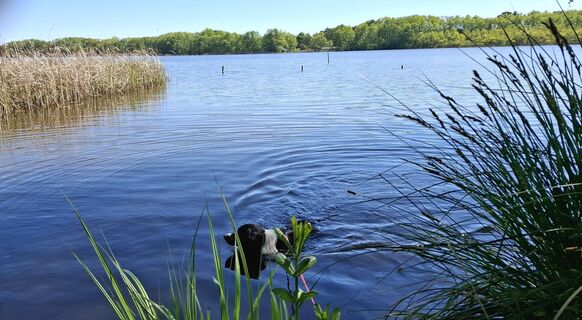 Fotó a Dominique Hoefer honlapról a túra során