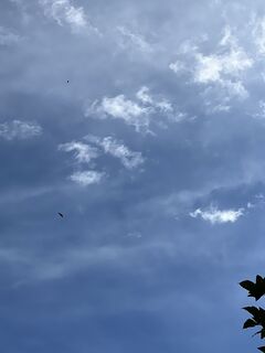 Foto de Torsten Heinrich a lo largo del recorrido