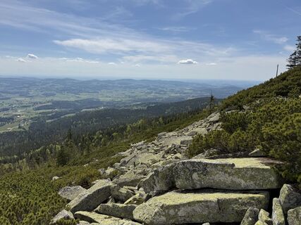 Photo de Norbert Herbig le long du parcours