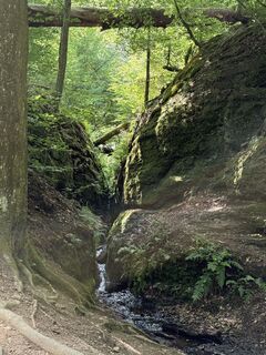 Foto von Steffen Schmidtke entlang der Tour