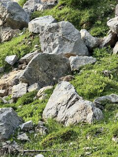 Foto de Mario Tauber a lo largo del recorrido