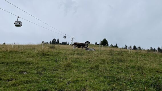 Foto von Sander Peerboom entlang der Tour