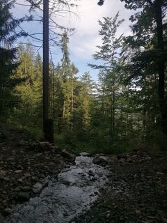 Photo de Turbinio le long du parcours