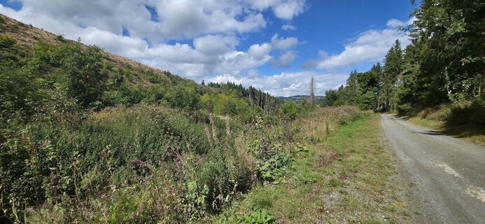 Foto von Michael Ganswind entlang der Tour