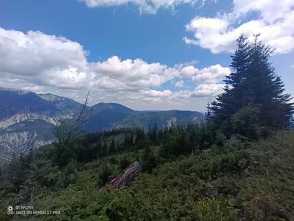 Fotografia z Bergpirat na trase