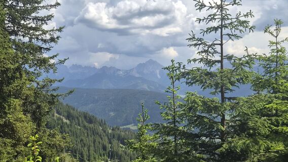 Photo de Uwe Schumann 2 le long du parcours